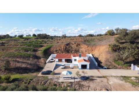 Quinta de Produção de Azeite em Messines