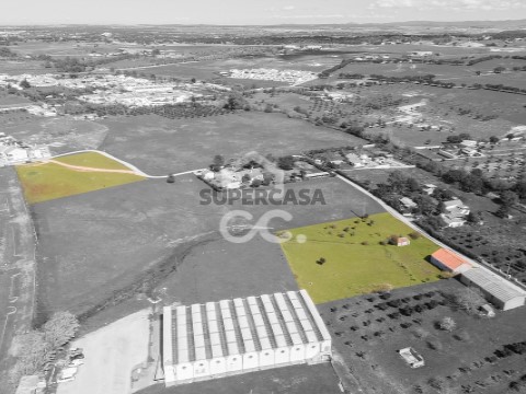 Terreno em Bacelo e Senhora da Saúde, Évora