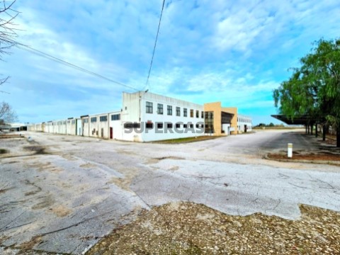 Armazém Industrial 12.000m2, em Torres Novas (4)