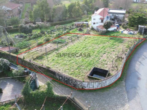 Argela
