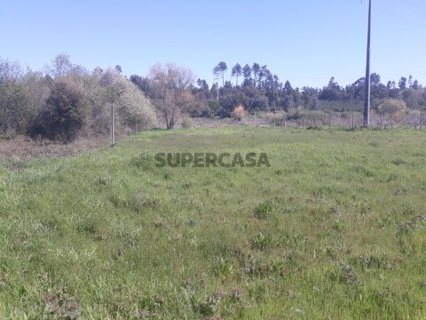 Terreno em Arcos e Mogofores, Anadia
