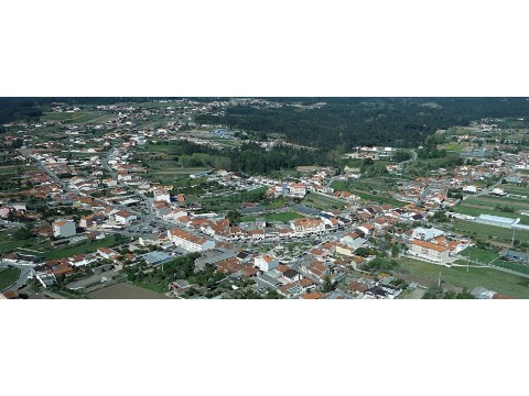 Palhaça1