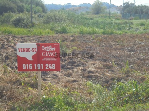 Terreno na Rua Santo Amaro, Bustos, Troviscal e Mamarrosa