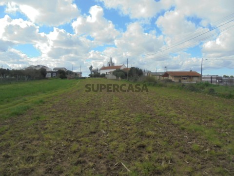 Terreno em Bustos, Troviscal e Mamarrosa, Oliveira do Bairro