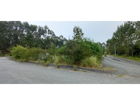 Terreno em Águeda, Águeda
