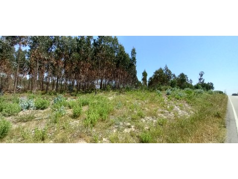 Terreno em Palhaça, Oliveira do Bairro