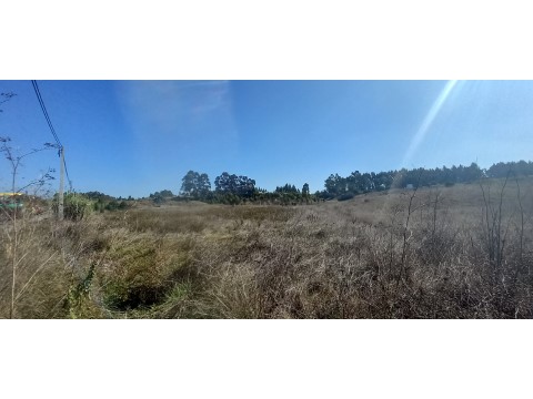 Terreno em Santo André de Vagos, Vagos