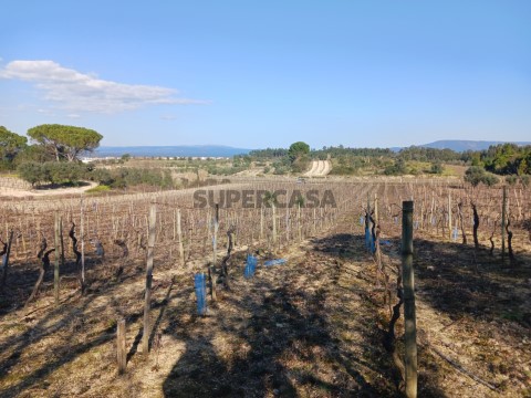 Terreno em Casal Comba, Mealhada