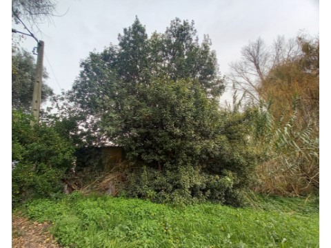 Terreno em Oiã, Oliveira do Bairro