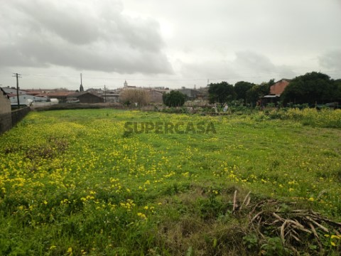 Terreno Urbano em Fermentelos, Águeda