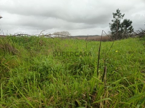 Terreno em Fermentelos, Águeda