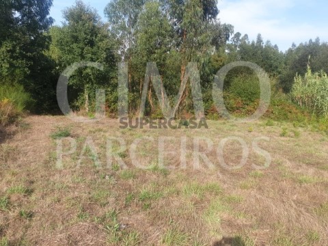 Lote em Oliveira do Bairro, Oliveira do Bairro