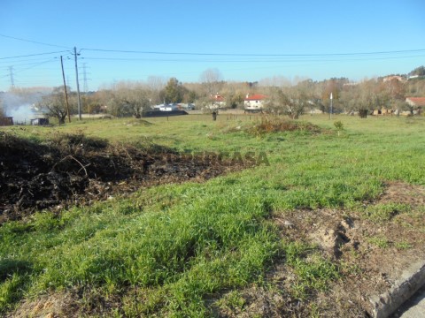 Terreno em Avelãs de Caminho, Anadia