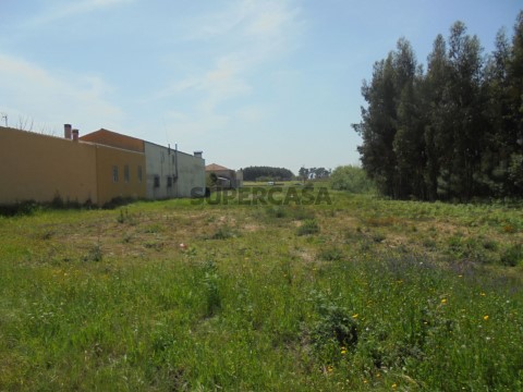 Terreno em Palhaça, Oliveira do Bairro