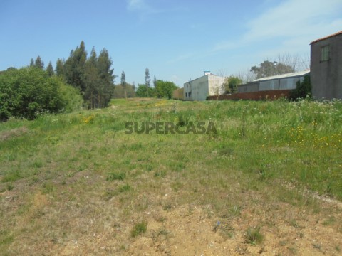 Terreno em Palhaça, Oliveira do Bairro