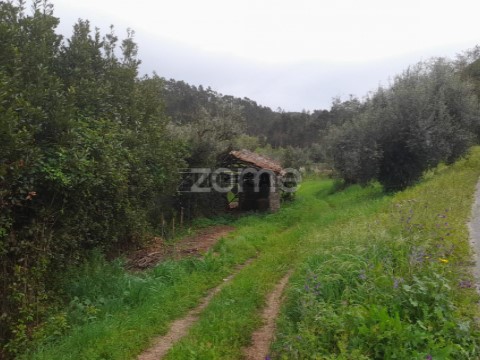 Terreno