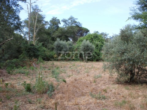 Terreno