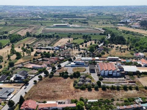 Vistas