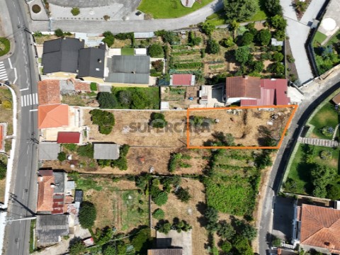 Planta