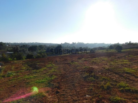 Terreno