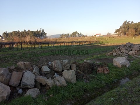 Terreno agrícola em Areias de Vilar - Barcelos
