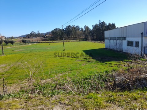 Terreno de construção em Alvito São Martinho - Barcelos