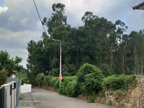 Terreno de Construção em Alvito S. Martinho - Barcelos
