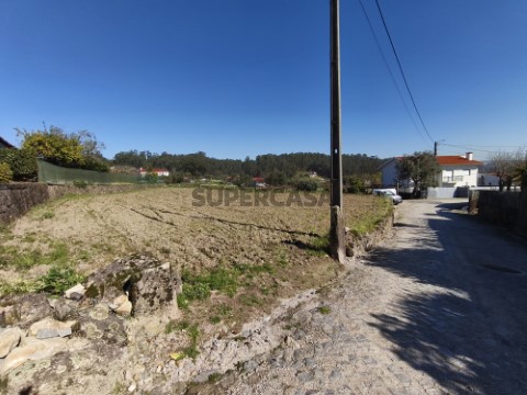 Terreno Urbanizável na Rua da Aldeia, Alvito (São Pedro e São Martinho) e Couto