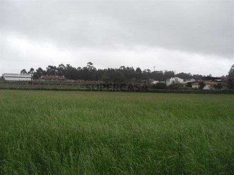 Terreno em Vila Cova e Feitos, Barcelos
