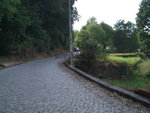 Terreno em Quintiães e Aguiar, Barcelos
