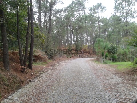 Terreno Rústico em Creixomil e Mariz, Barcelos