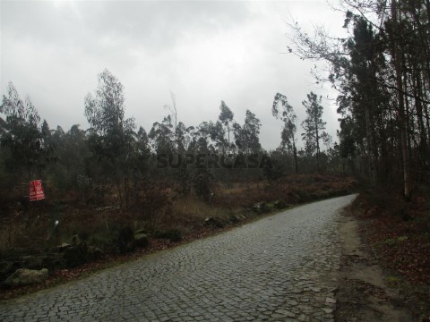 Terreno em Quintiães e Aguiar, Barcelos