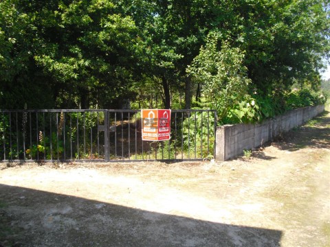 Terreno agrícola em Perelhal - Barcelos
