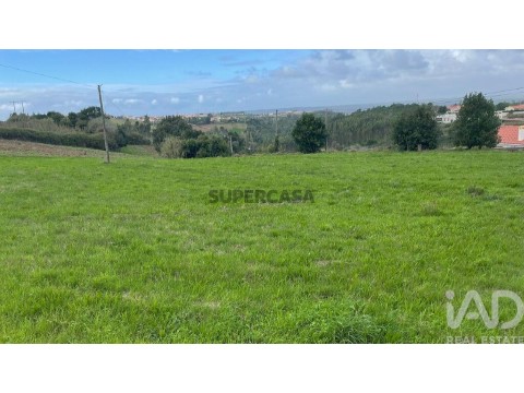 Lote em Alcobaça e Vestiaria, Alcobaça