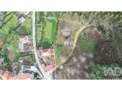 Lote em Espinhal, Penela