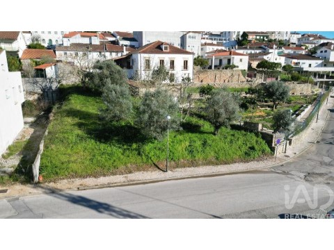 Lote em São Miguel, Santa Eufémia e Rabaçal, Penela
