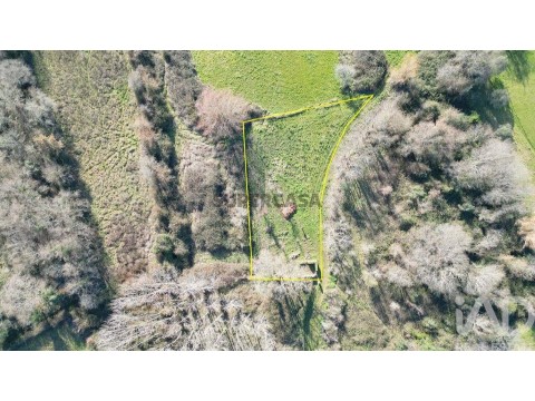 Lote em Espinhal, Penela