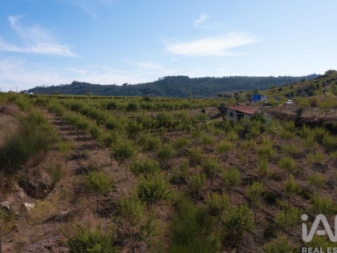 Lote em Lamas, Miranda do Corvo