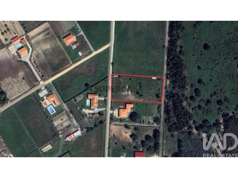 Lote em Benavente, Benavente