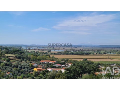Parcela en Chamusca e Pinheiro Grande, Chamusca