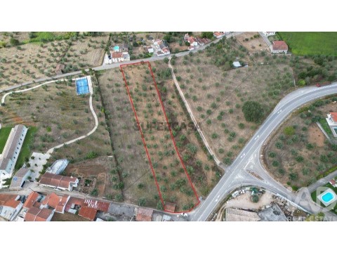 Lote em São Miguel, Santa Eufémia e Rabaçal, Penela