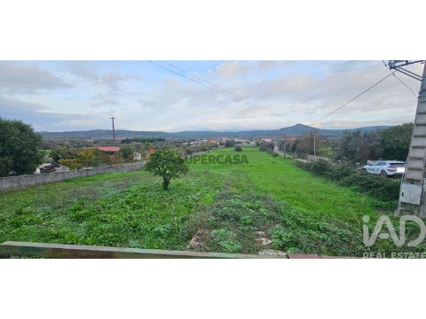 Lote em São Miguel, Santa Eufémia e Rabaçal, Penela