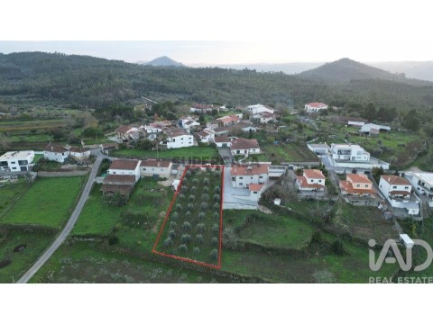 Lote em São Miguel, Santa Eufémia e Rabaçal, Penela