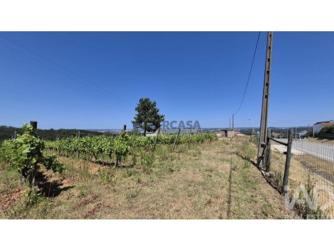 Lote em Leiria, Pousos, Barreira e Cortes, Leiria