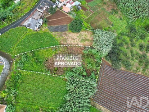 Lote em Santana, Santana