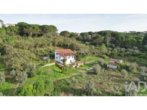 Moradia T5 em Santa Clara e Castelo Viegas, Coimbra
