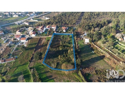 Lote em Pinheiro da Bemposta, Travanca e Palmaz, Oliveira de Azeméis