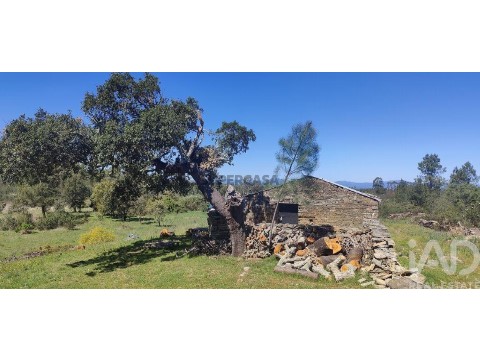 Quinta T0 em Benquerenças, Castelo Branco