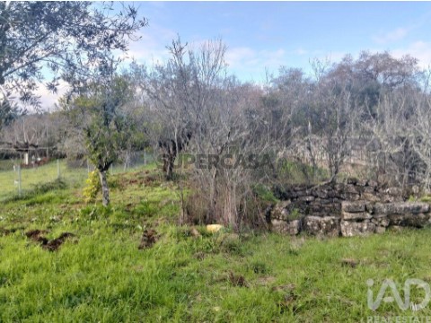 Lote em Chãos, Ferreira do Zêzere