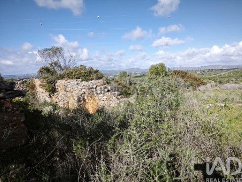 Lote em Tunes, Silves